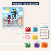 Ladybug en Cat Noir op het stadsdak – inhoud van het pakket