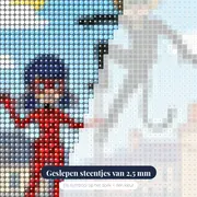Ladybug en Cat Noir op het stadsdak – close-up van de steentjes