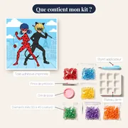 Ladybug et Chat Noir dos à dos sur les toits – contenu du kit