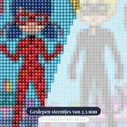 Ladybug en Cat Noir met Tikki en Plagg – close-up van de steentjes