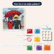 Ladybug en Cat Noir onder de paraplu in de regen – inhoud van het pakket
