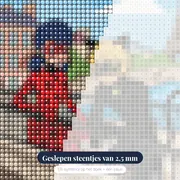 Ladybug en Cat Noir op de brug – close-up van de steentjes