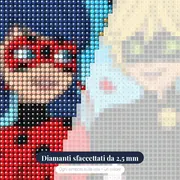 Ladybug e Chat Noir con petali di rosa – primo piano dei diamanti