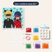 Ladybug et Chat Noir portrait souriant – contenu du kit