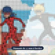 Ladybug et Chat Noir sur les toits – gros plan des diamants