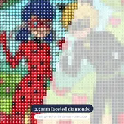 Ladybug and Cat Noir Valentine Hearts – diamond close-up