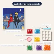 Ladybug en Cat Noir op het dak – inhoud van het pakket