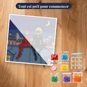 Ladybug et Chat Noir sous les étoiles – kit prêt à commencer