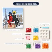 Ladybug et Chat Noir sous la neige – contenu du kit