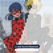 Ladybug and Cat Noir Snowy Paris Rooftop – diamond close-up
