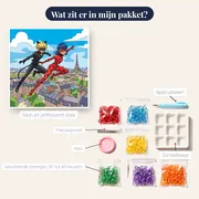 Ladybug en Cat Noir vliegen boven de stad – inhoud van het pakket
