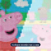 Peppa en George in het zwembad – close-up van de steentjes