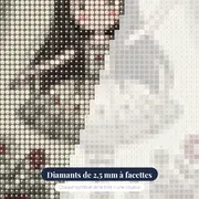 Ballerine aux Rideaux Fleuris – gros plan des diamants