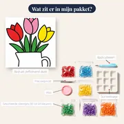 Drie Tulpen in Witte Kan – inhoud van het pakket