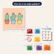 Drie Vrolijke Cactussen met Bloemen – inhoud van het pakket