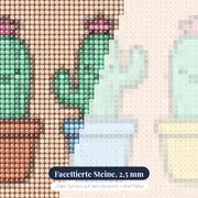 Drei lächelnde Kakteen – Nahaufnahme der Steine