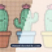 Cactus Sorridenti in Vaso – primo piano dei diamanti