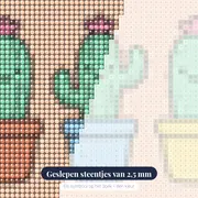 Drie Vrolijke Cactussen met Bloemen – close-up van de steentjes