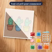 Trois Cactus aux Fleurs Roses – kit prêt à commencer