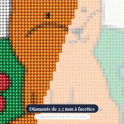 Renard Fleuri Assis – gros plan des diamants