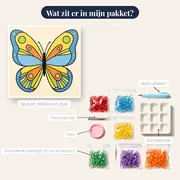 Kleurrijke Vlinder met Symmetrische Vleugels – inhoud van het pakket
