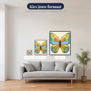 Kleurrijke Vlinder met Symmetrische Vleugels – beschikbare formaten