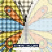 Bunter Schmetterling mit symmetrischen Flügeln – Nahaufnahme der Steine