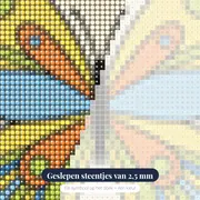 Kleurrijke Vlinder met Symmetrische Vleugels – close-up van de steentjes