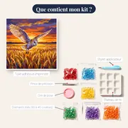 Vol de l’Effraie au Coucher – contenu du kit