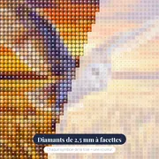 Vol de l’Effraie au Coucher – gros plan des diamants