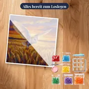 Flug der Schleiereule im Abendlicht – Set bereit zum Loslegen