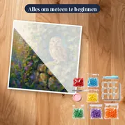 Uil op Oude Muur met Klimop – pakket klaar om te beginnen