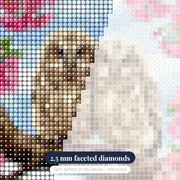 Blossom Branch Owlets – diamond close-up