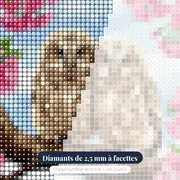 Deux Hiboux sous les Cerisiers – gros plan des diamants