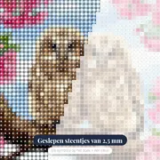 Twee Uilskuikens in Kersenbloesem – close-up van de steentjes