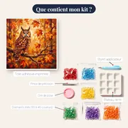 Chouette aux longues oreilles – contenu du kit