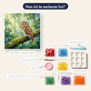 Waldkauz auf moosigem Ast – Inhalt des Sets