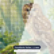 Waldkauz auf moosigem Ast – Nahaufnahme der Steine