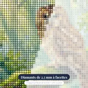 Chouette brune dans la forêt brumeuse – gros plan des diamants