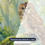 Allocco nella Foresta Nebbiosa – primo piano dei diamanti
