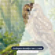 Uil op een Mossige Tak – close-up van de steentjes