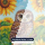 Eule im Sonnenblumenfeld – Nahaufnahme der Steine