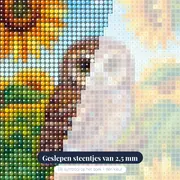 Kleine uil tussen zonnebloemen – close-up van de steentjes
