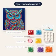 Chouette Mandala aux Couleurs Vives – contenu du kit