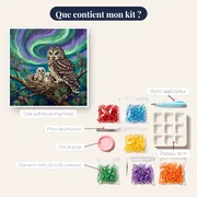 Famille de chouettes sous les aurores – contenu du kit