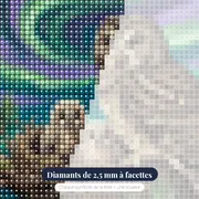 Famille de chouettes sous les aurores – gros plan des diamants