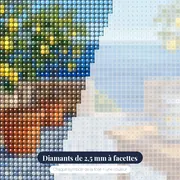 Terrasse sicilienne aux citronniers – gros plan des diamants