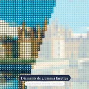 Reflet du Château de Chambord – gros plan des diamants