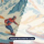 Manifesto Alpino di Chamonix – primo piano dei diamanti