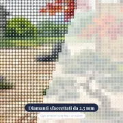 Giardino Zen con Acero Rosso – primo piano dei diamanti